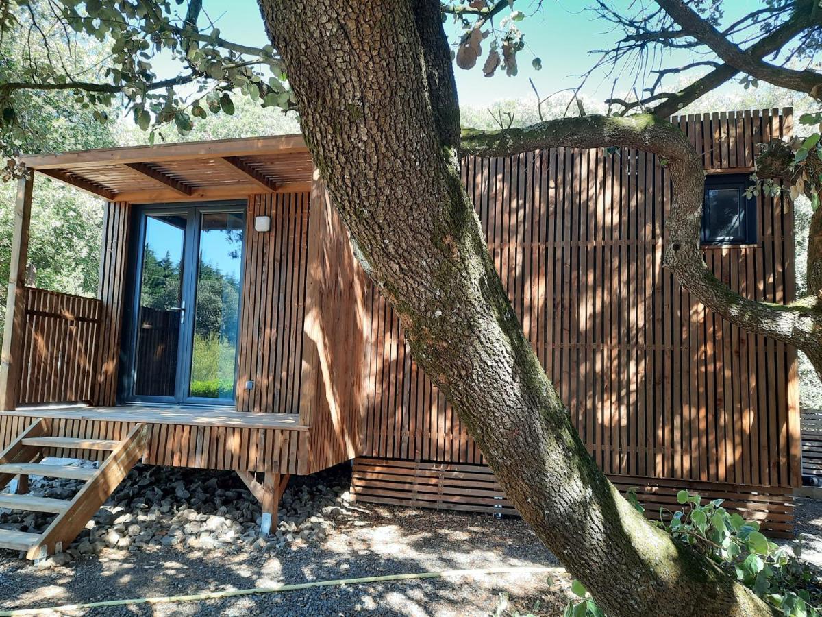 Le Lodge Des Chenes Brousses-et-Villaret Екстериор снимка