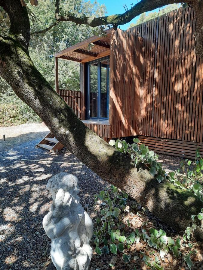 Le Lodge Des Chenes Brousses-et-Villaret Екстериор снимка